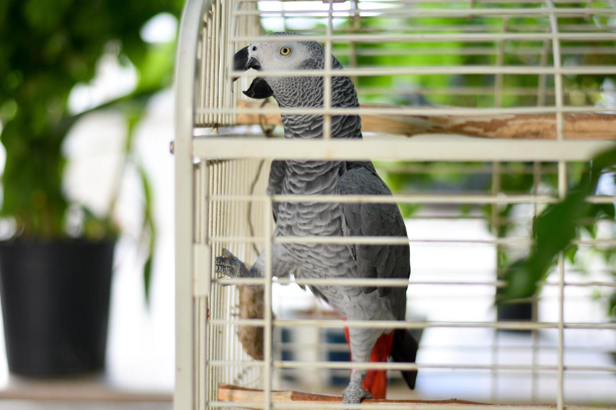 Kaya Apart Datça Ngoại thất bức ảnh
